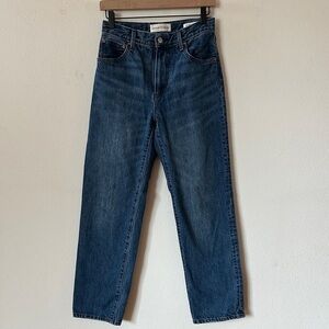 ARITZIA Denim Forum 90’s Marlo hi Rise Baggy Jeans